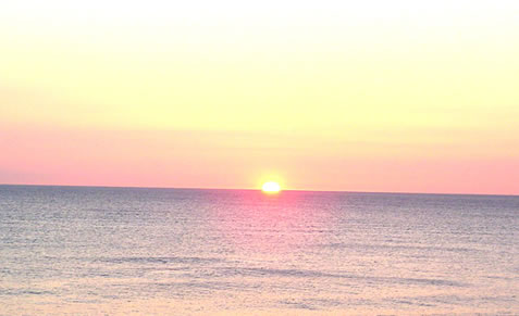 sylt sylt